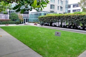 Pacific Point in Yaletown Unfurnished 1 Bed 1 Bath Apartment For Rent at B106-1331 Homer St Vancouver. B106 - 1331 Homer Street, Vancouver, BC, Canada.