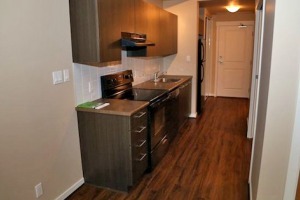 Remy in West Cambie Unfurnished 1 Bed 1 Bath Apartment For Rent at 161-4099 Stolberg St Richmond. 161 - 4099 Stolberg Street, Richmond, BC, Canada.