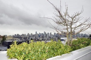 Mantra in Kitsilano Unfurnished 1 Bed 1.5 Bath Apartment For Rent at 507-1680 West 4th Ave Vancouver. 507 - 1680 West 4th Avenue, Vancouver, BC, Canada.