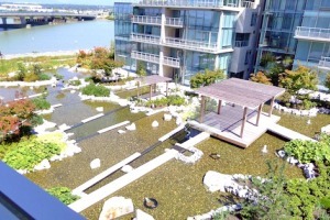 River Green in Brighouse Unfurnished 3 Bed 2.5 Bath Apartment For Rent at 403-5151 Brighouse Way Richmond. 403 - 5151 Brighouse Way, Richmond, BC, Canada.
