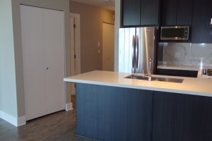 Aviara in Brentwood Unfurnished 1 Bed 1 Bath Apartment For Rent at 1802-4189 Halifax St Burnaby. 1802 - 4189 Halifax Street, Burnaby, BC, Canada.