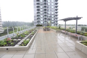 Wall Centre Central Park Tower 2 in Renfrew Collingwood Unfurnished 1 Bed 1 Bath Apartment For Rent at 651-5515 Boundary Rd Vancouver. 651 - 5515 Boundary Road, Vancouver, BC, Canada.