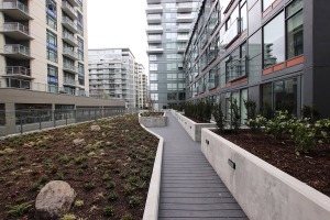 Epic at West in Olympic Village Unfurnished 1 Bed 1 Bath Apartment For Rent at 1601-1788 Columbia St Vancouver. 1601 - 1788 Columbia Street, Vancouver, BC, Canada.