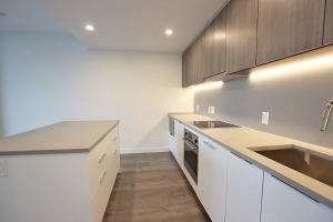 Linea in Whalley Unfurnished 1 Bed 1 Bath Apartment For Rent at 2409-13318 104th Ave Surrey. 2409 - 13318 104th Avenue, Surrey, BC, Canada.