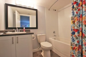 Albion Unfurnished 1 Bed 1 Bath Basement For Rent at 10045B 247 St Maple Ridge. 10045B 247 Street, Maple Ridge, BC, Canada.