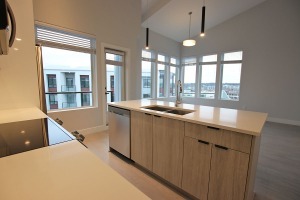 Genesis in Langley City Unfurnished 2 Bed 2 Bath Apartment For Rent at 604-20360 Logan Ave Langley. 604 - 20360 Logan Avenue, Langley, BC, Canada.