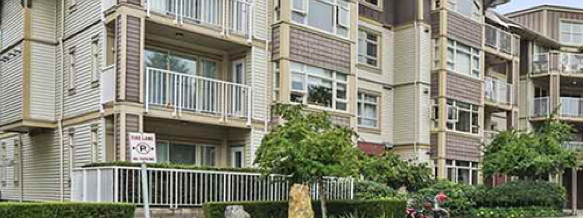 Cadence in Metrotown Unfurnished 1 Bed 1 Bath Apartment For Rent at 108-7337 Macpherson Ave Burnaby. 108 - 7337 Macpherson Avenue, Burnaby, BC, Canada.