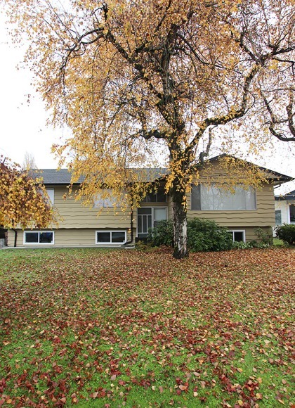 West Central Unfurnished 3 Bed 1.5 Bath House For Rent at 11686 Holly St Maple Ridge. 11686 Holly Street, Maple Ridge, BC, Canada.