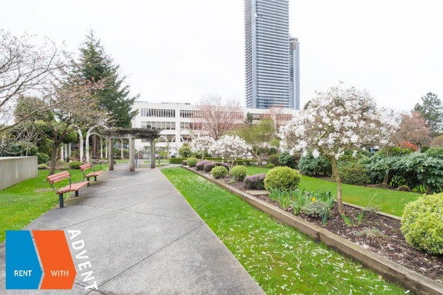 Polaris in Brentwood Unfurnished 1 Bed 1.5 Bath Apartment For Rent at 1008-4425 Halifax St Burnaby. 1008 - 4425 Halifax Street, Burnaby, BC, Canada.