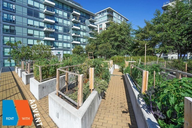 Tower Green at West in Olympic Village Unfurnished 1 Bed 1 Bath Apartment For Rent at 702-159 West 2nd Ave Vancouver. 702 - 159 West 2nd Avenue, Vancouver, BC, Canada.